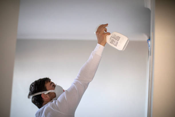 Reliable River Rouge, MI Mold Remediation Solutions