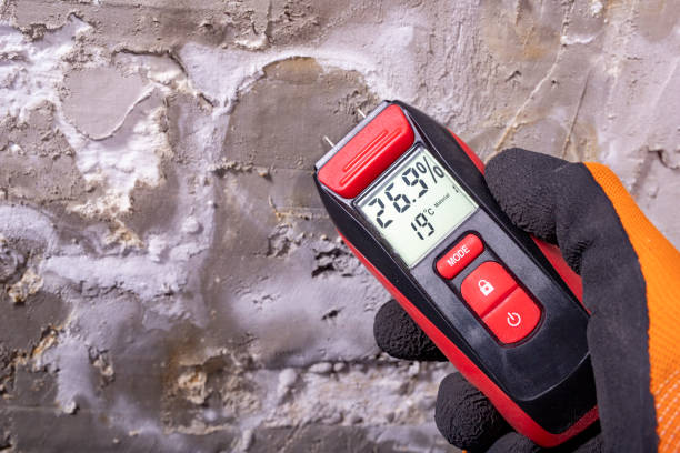 Best Post-Remediation Services in River Rouge, MI