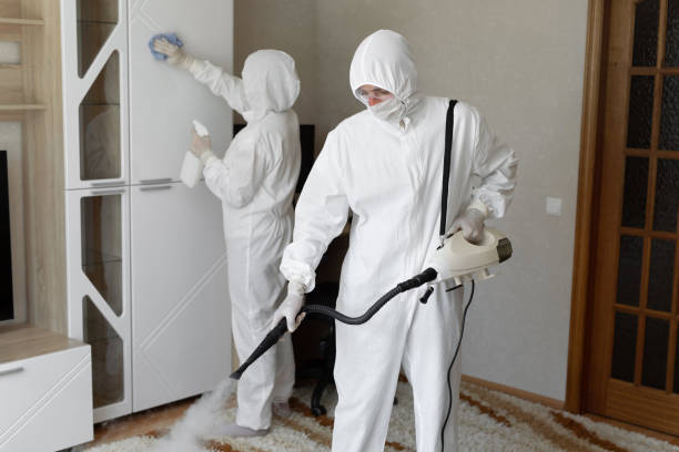 Best DIY Mold Remediation Support Services in River Rouge, MI
