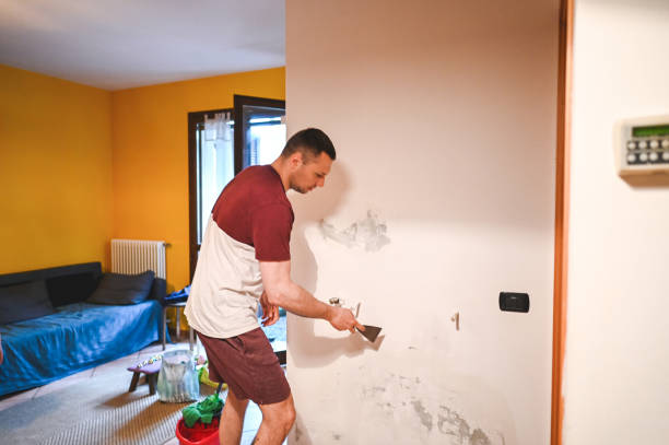 Best Crawl Space Mold Remediation in River Rouge, MI